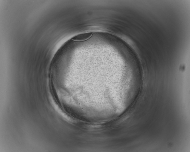 X0000112811431200909111249