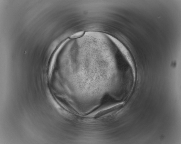 X0000112811434200909111249