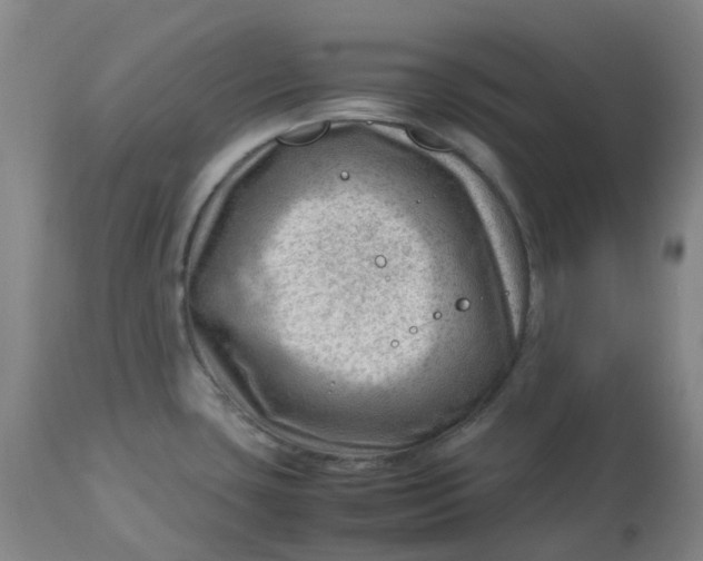 X0000112811435200909111249