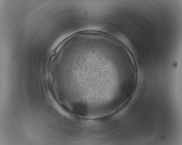 X0000112811436200909111249