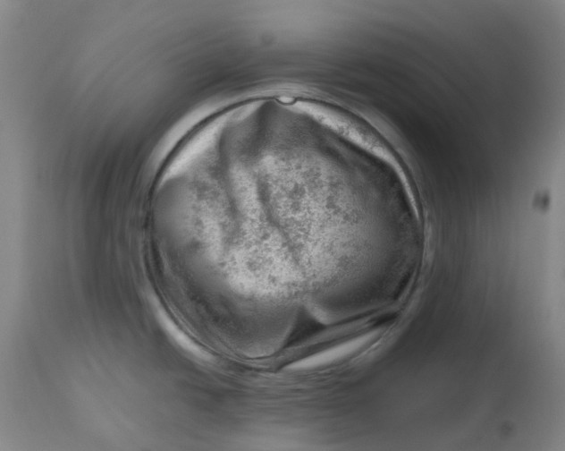 X0000112811438200909111249