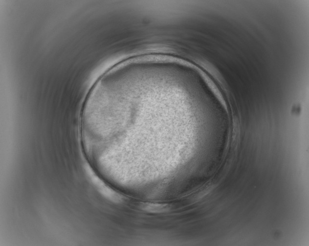 X0000112811439200909111249