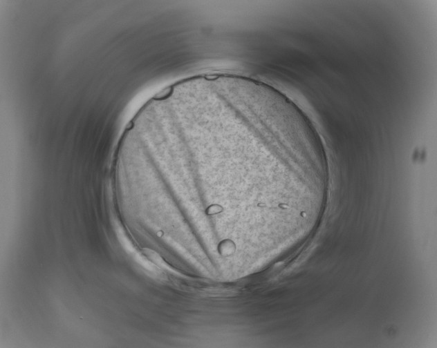 X0000112811440200909111249