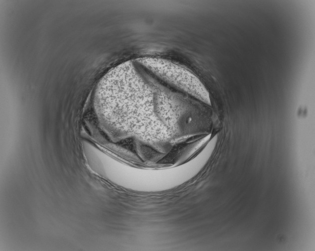 X0000112811441200909111248