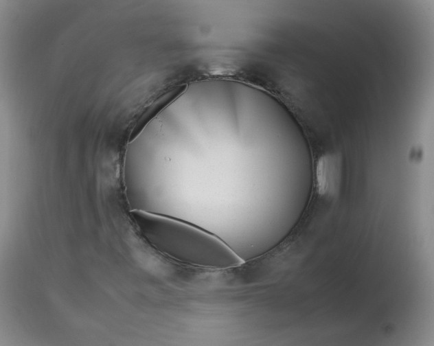 X0000112811443200909111248