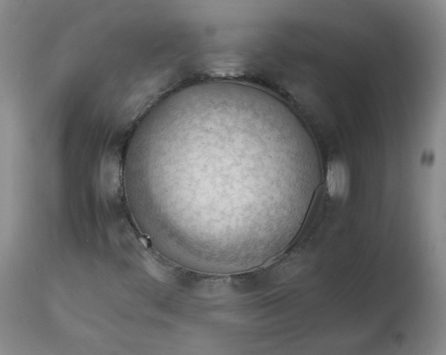 X0000112811444200909111248