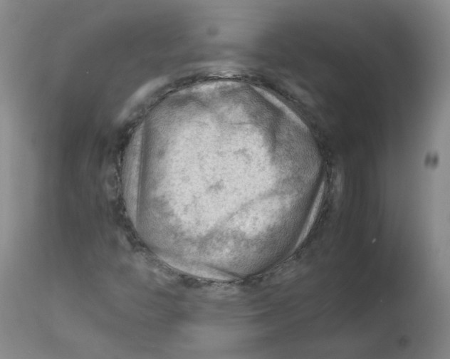 X0000112811446200909111248