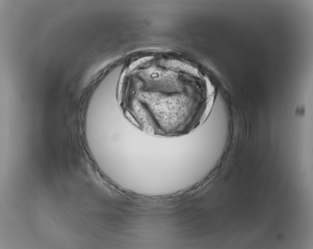 X0000112811448200909111248