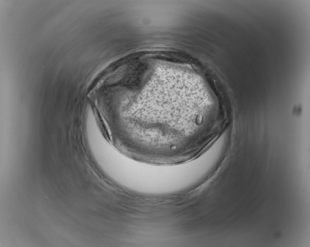 X0000112811449200909111248