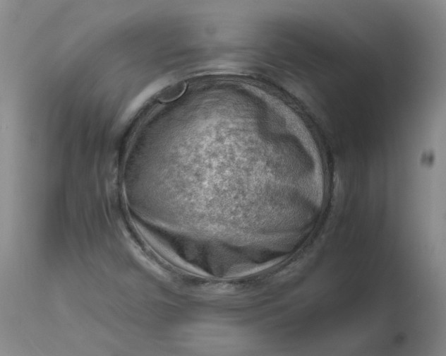 X0000112811450200909111248