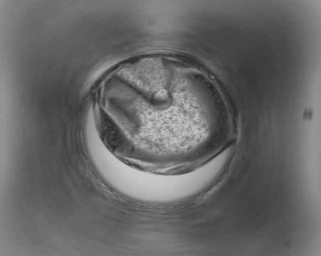 X0000112811453200909111248