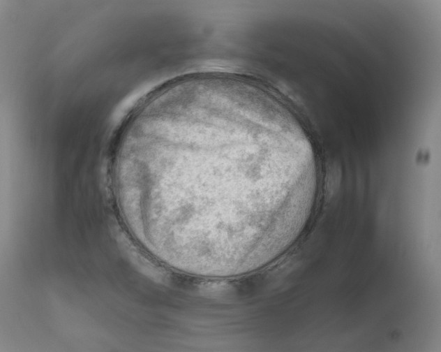 X0000112811454200909111248