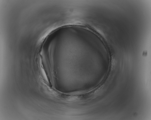 X0000112811455200909111248