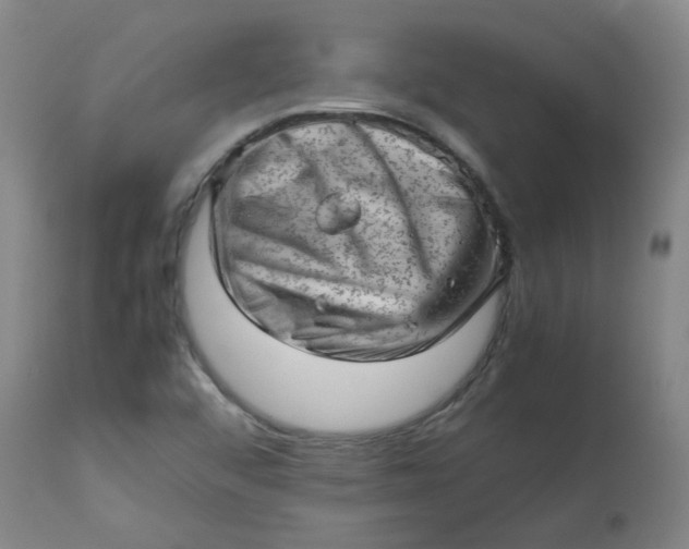 X0000112811456200909111248