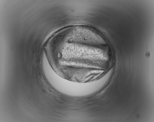 X0000112811457200909111248