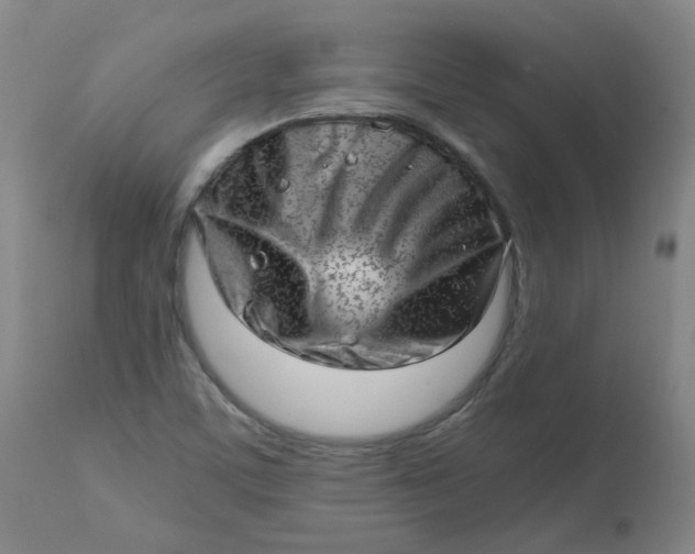 X0000112811459200909111248