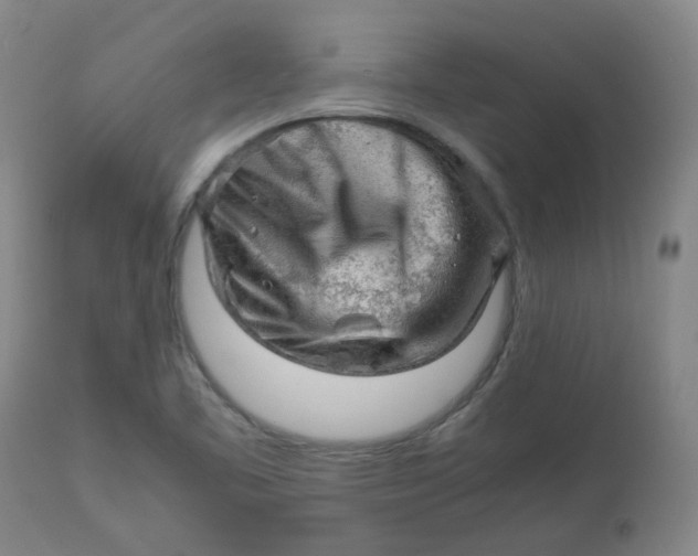 X0000112811461200909111248