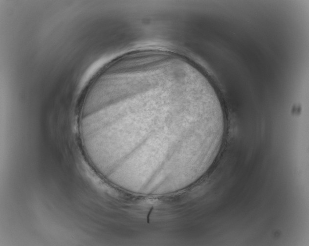 X0000112811462200909111248