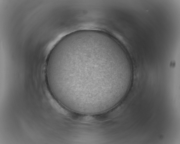 X0000112811463200909111248