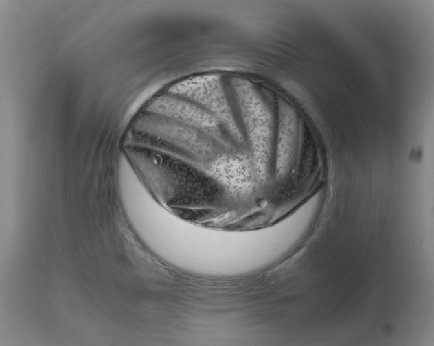 X0000112811465200909111248