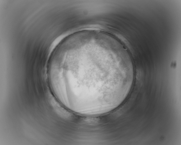 X0000112811466200909111248