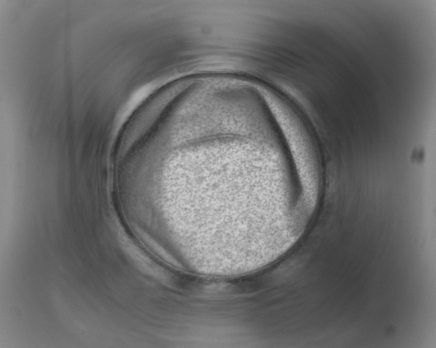 X0000112811467200909111248