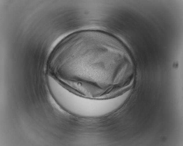 X0000112811468200909111248