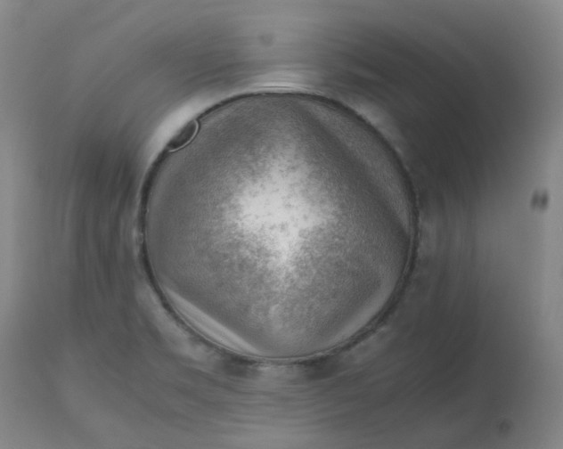 X0000112811469200909111248