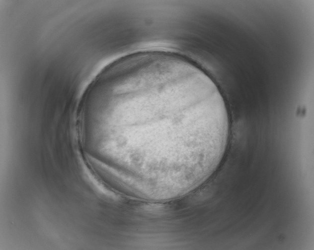 X0000112811470200909111248