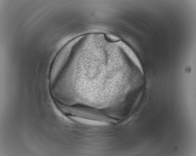 X0000112811471200909111248