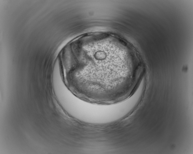 X0000112811473200909111248