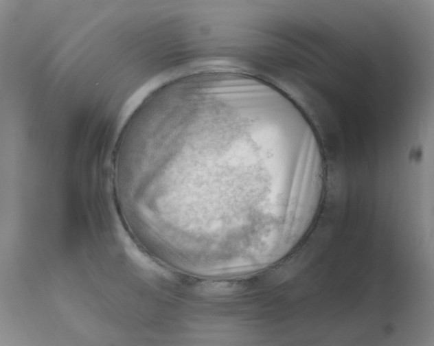 X0000112811474200909111248