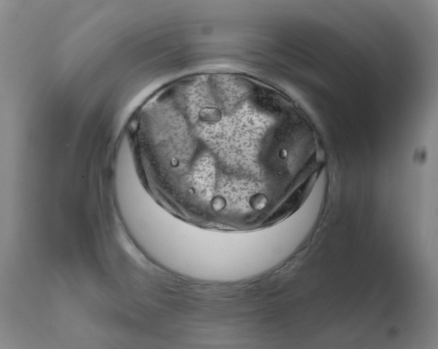 X0000112811476200909111248