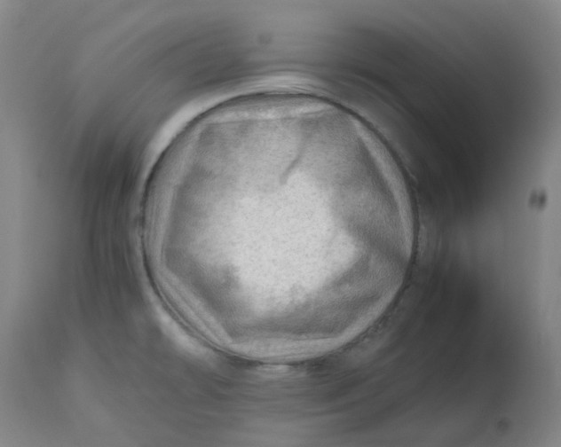 X0000112811478200909111248