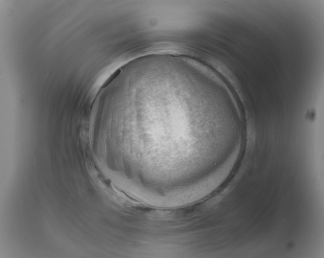 X0000112811481200909111248