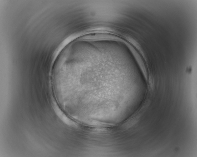 X0000112811482200909111248