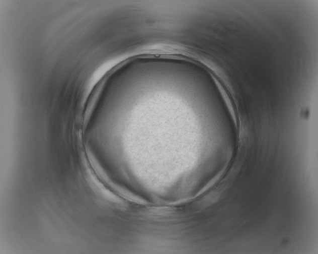 X0000112811486200909111248