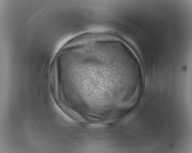 X0000112811487200909111248