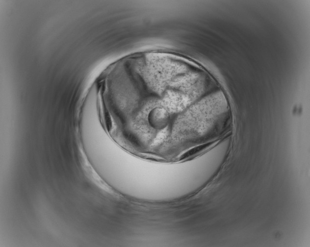 X0000112811488200909111248