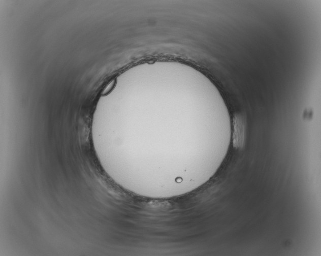 X0000112811491200909111247