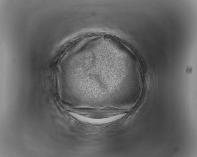 X0000112811494200909111247