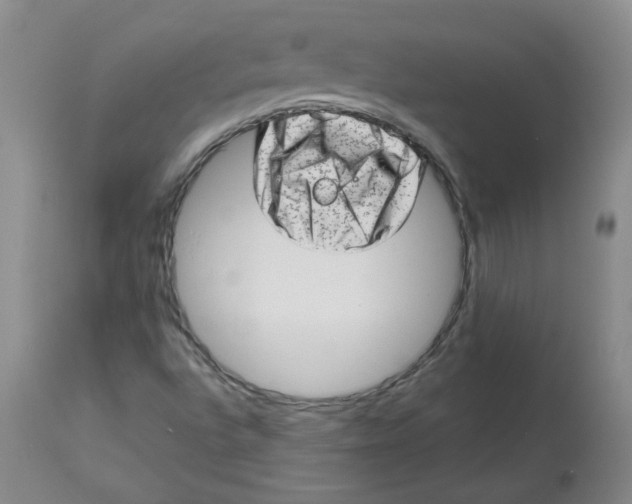 X0000112811496200909111247