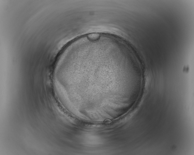 X0000112811497200909111247