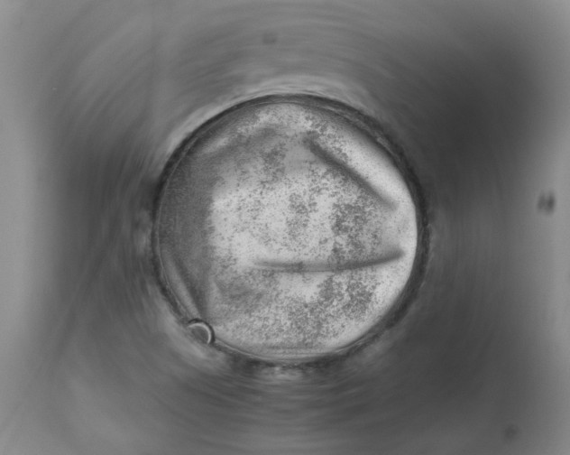 X0000112811505200909111247