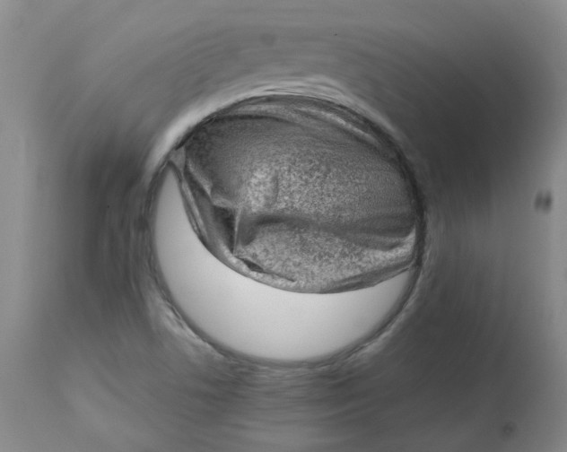 X0000112811506200909111247