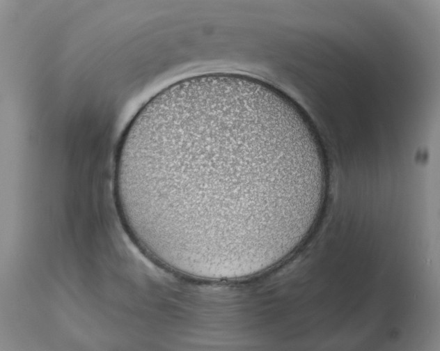 X0000112811508200909111247