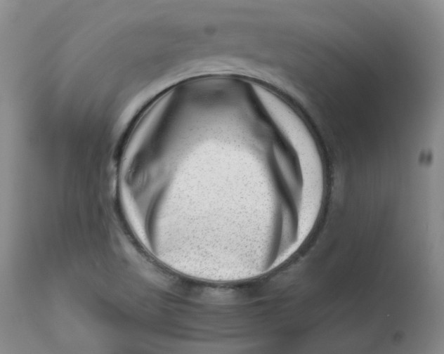 X0000112811509200909111247