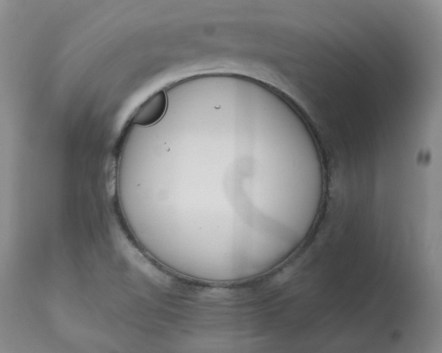 X0000112811510200909111247