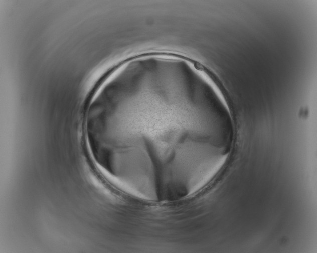 X0000112811511200909111247