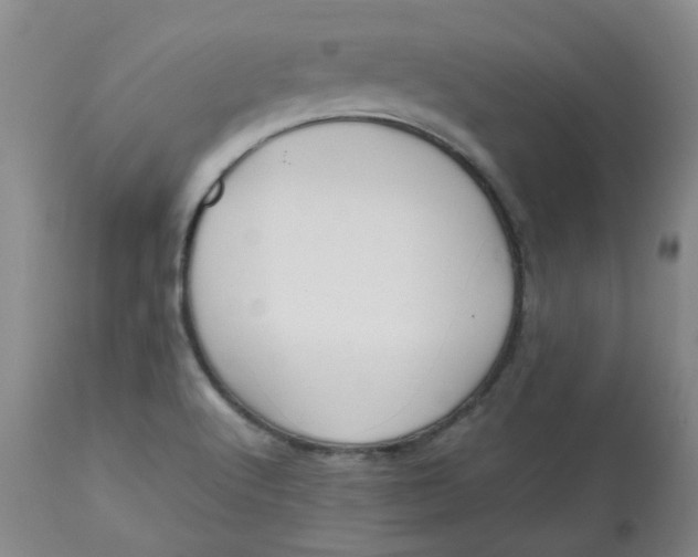 X0000112811512200909111247